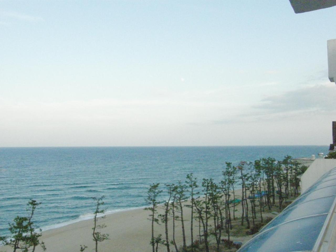 คยองโพ ไทม์ Motel คังนึง ภายนอก รูปภาพ